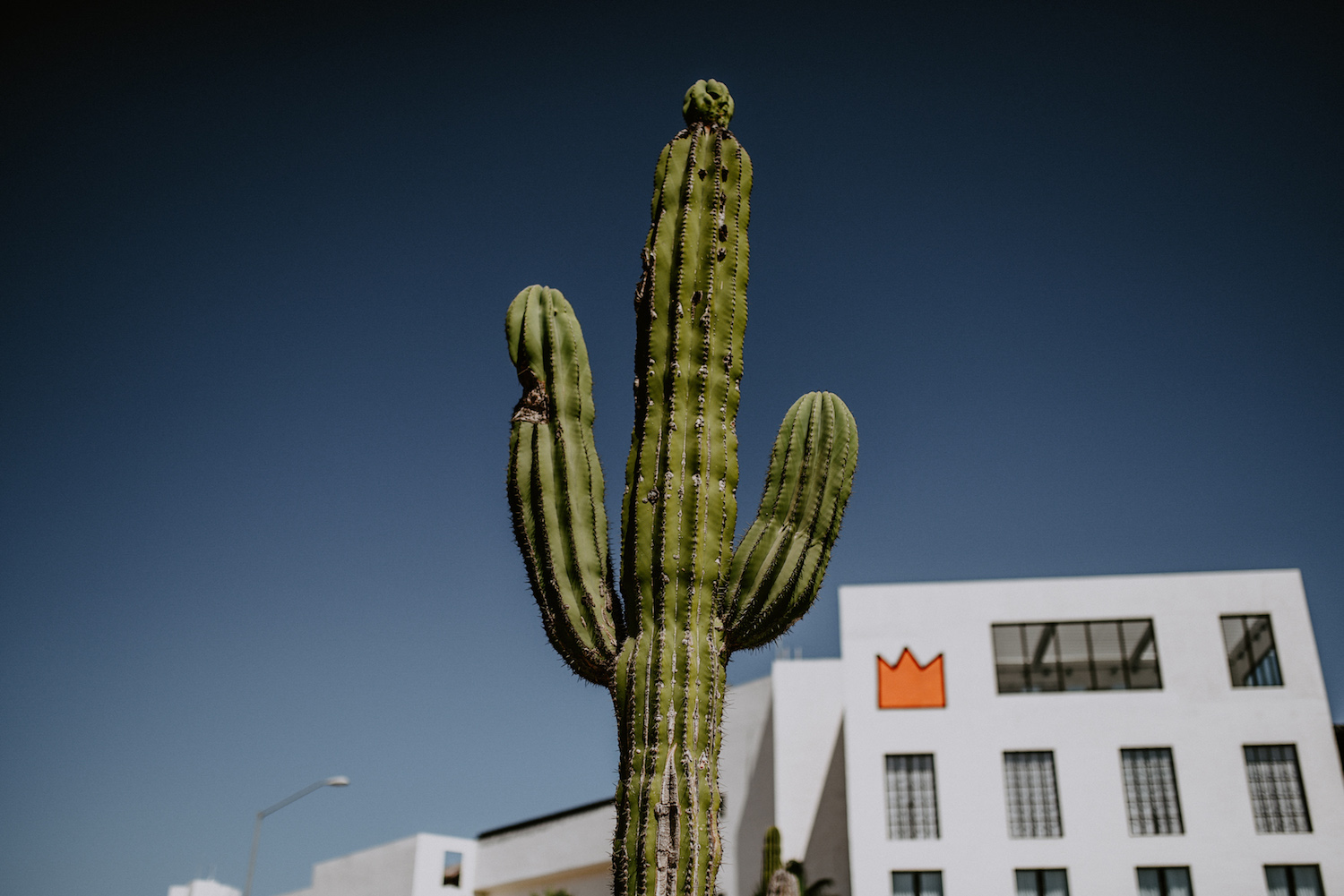 Bodas en Los Cabos