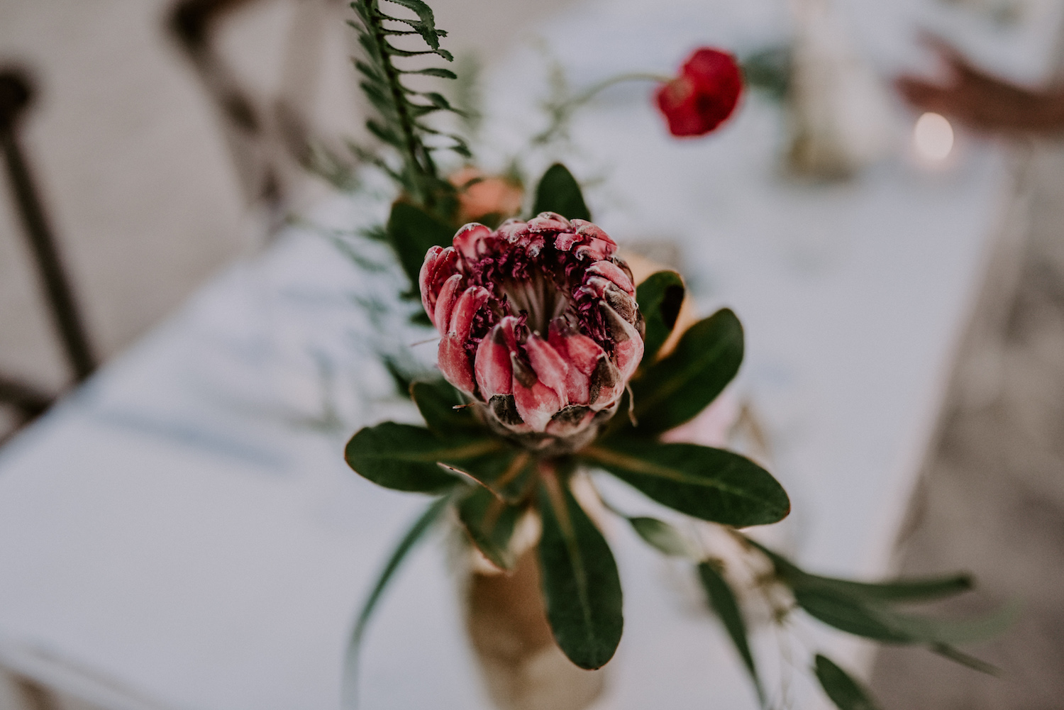 Bodas en Los Cabos