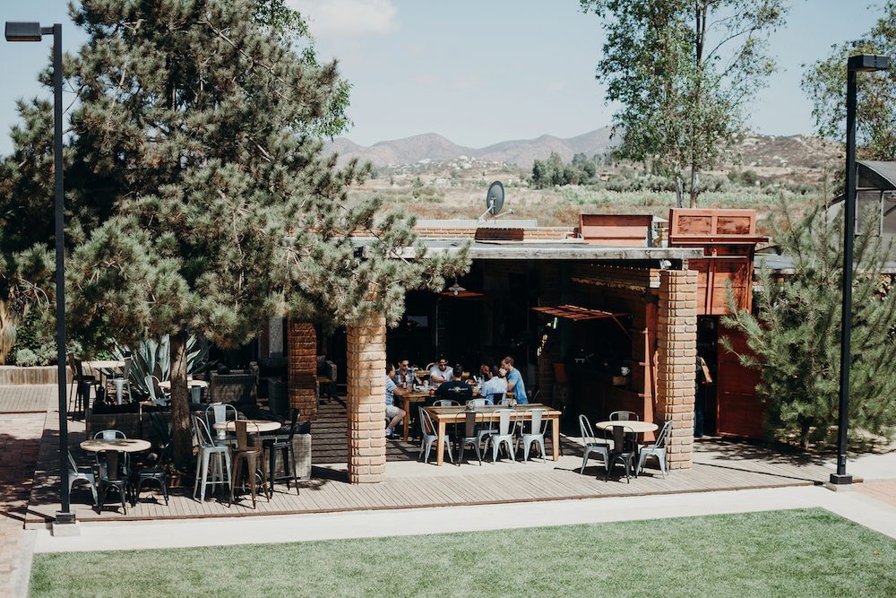 Bodas en Valle de Guadalupe