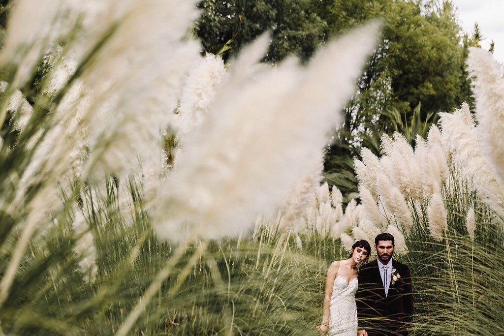 Pampas Grass en tu boda