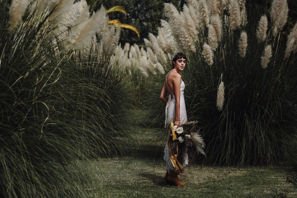 Pampas Grass en tu boda