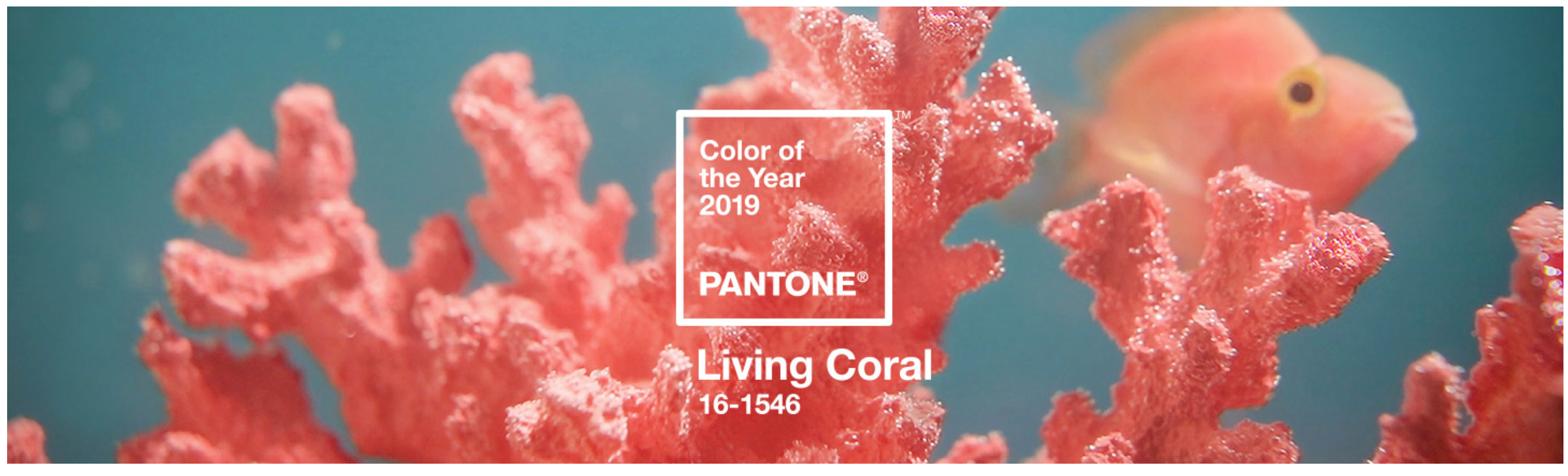 Living Coral, el color oficial del 2019 