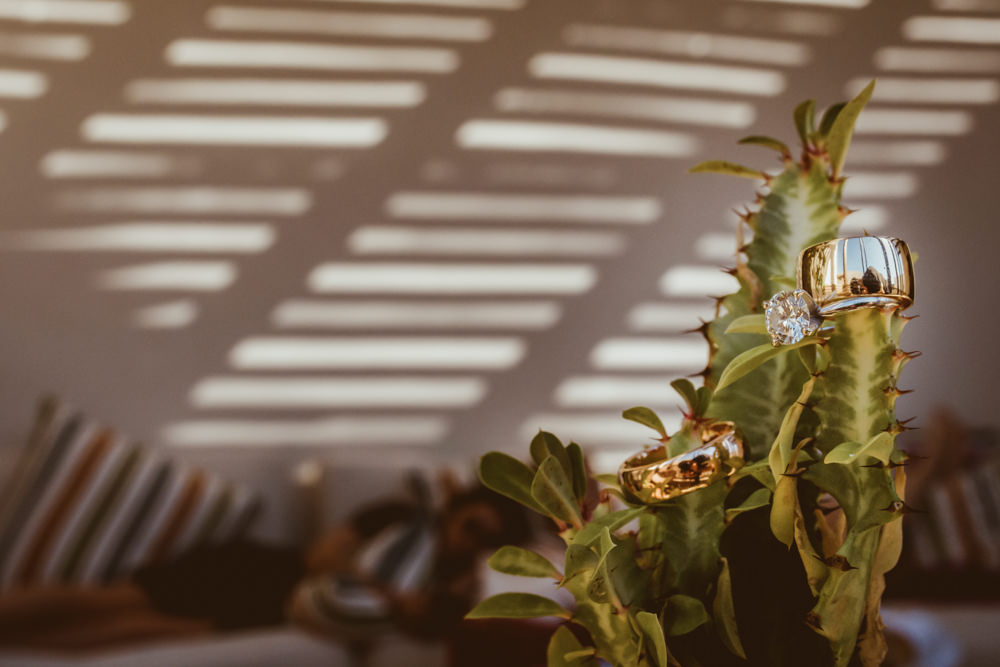 Boda en Los Cabos, Todos Santos