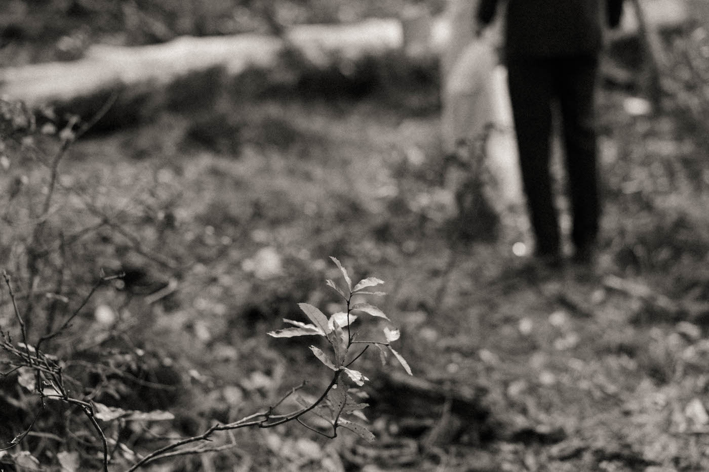 Love session alternativa en el bosque