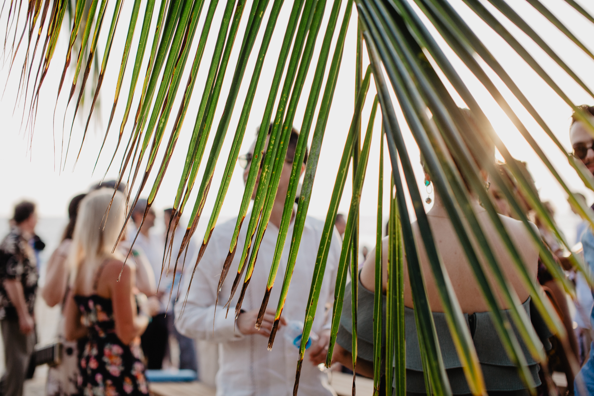 Boda en Puerto Escondido, Oaxaca