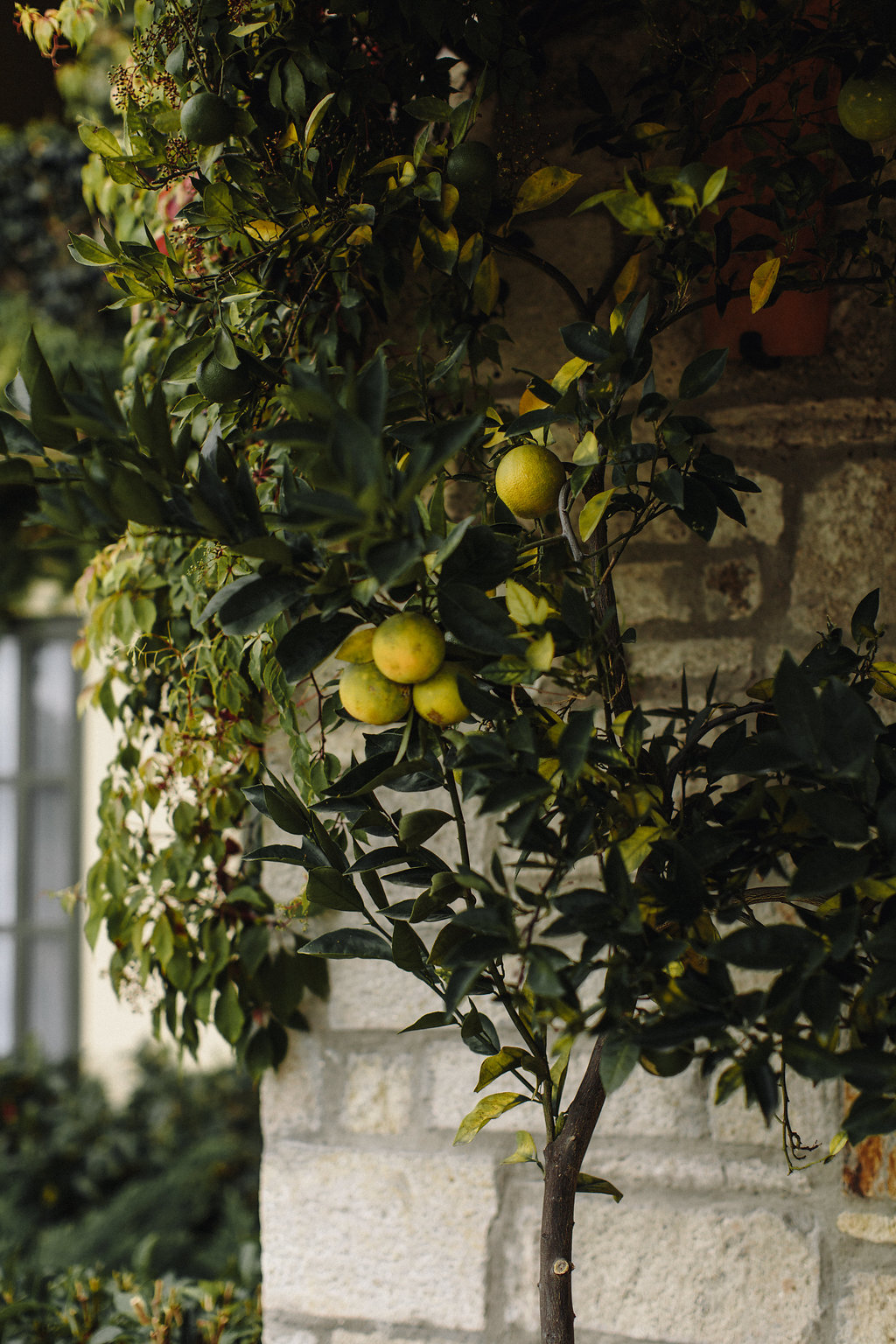 Elopement en San Miguel de Allende 