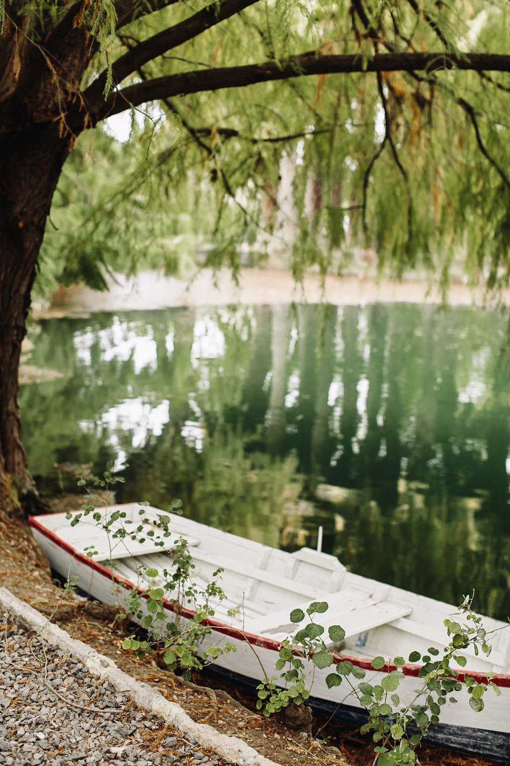 Elopement en San Miguel de Allende 