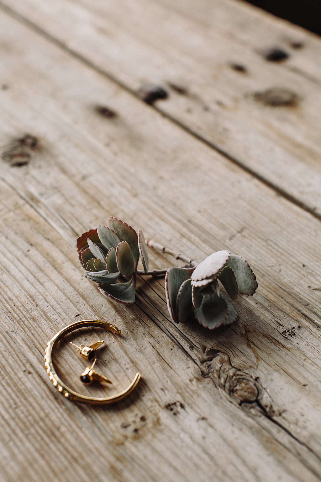 Elopement en San Miguel de Allende 