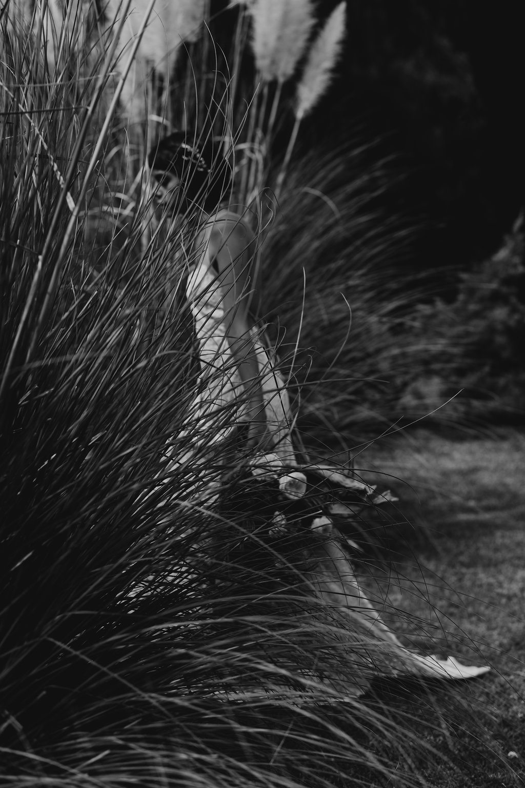 Elopement en San Miguel de Allende 