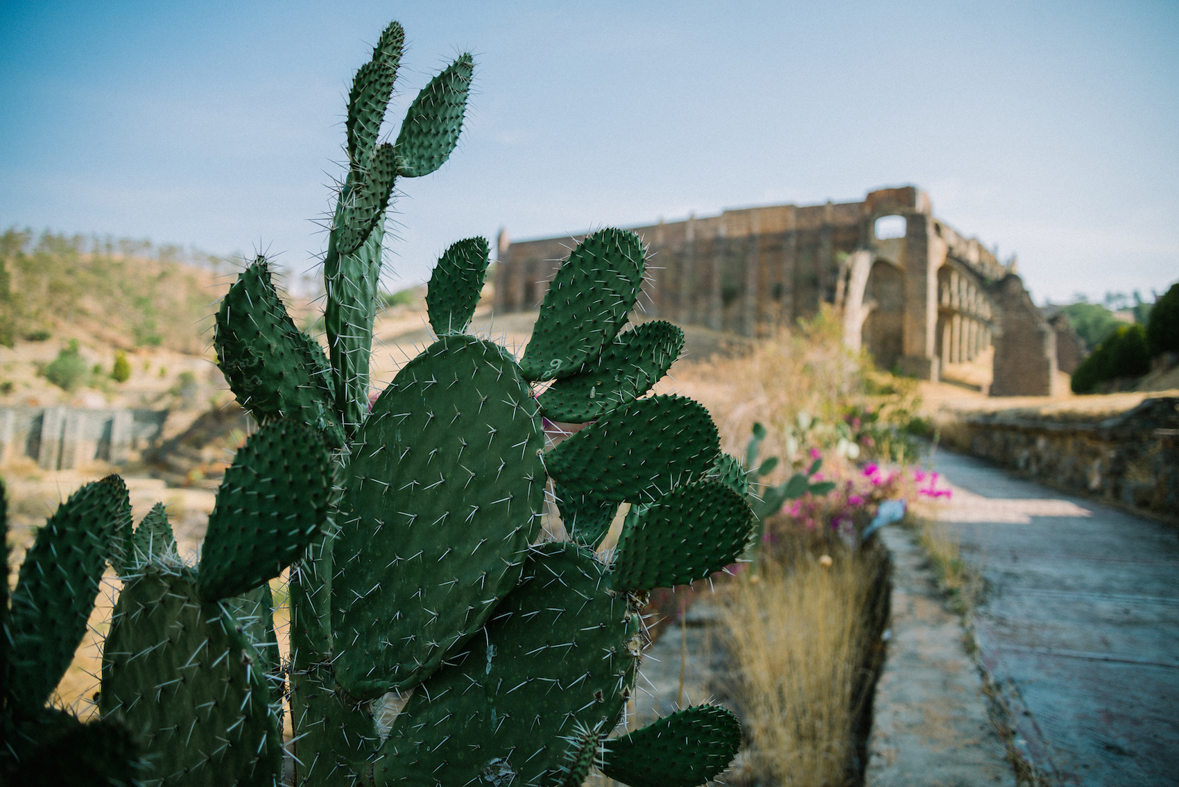 Tu boda en Guanajuato