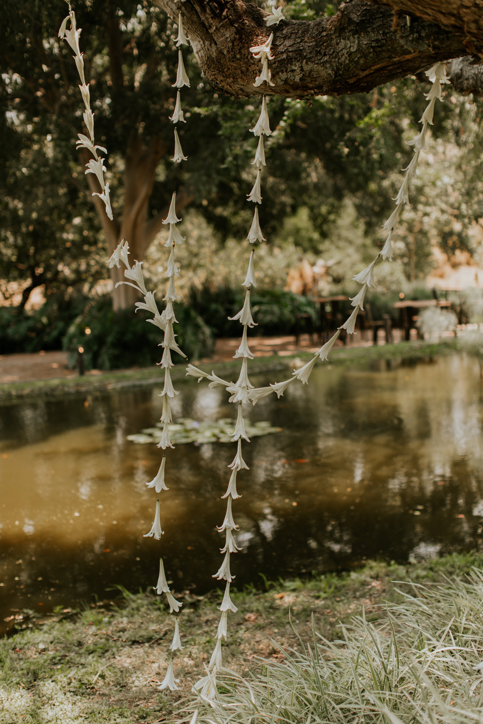 boda de Fernanda Caballero y Aldo Chaparro