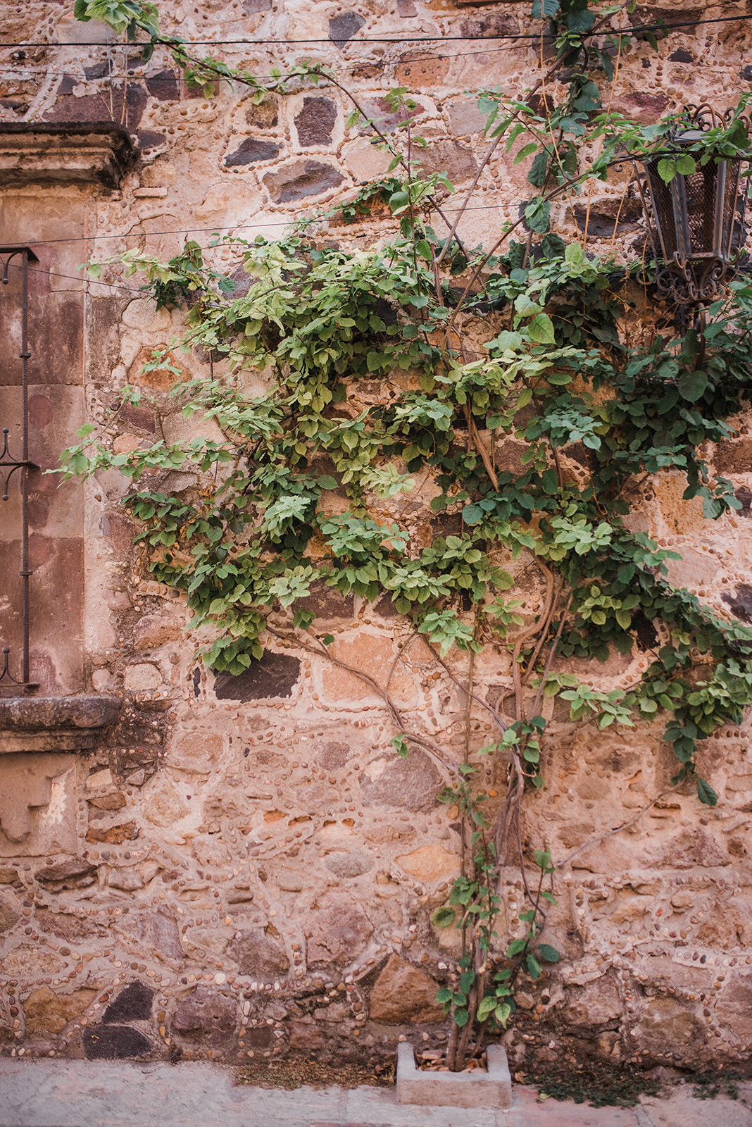 Boda en Casa Cariño San Miguel de Allende