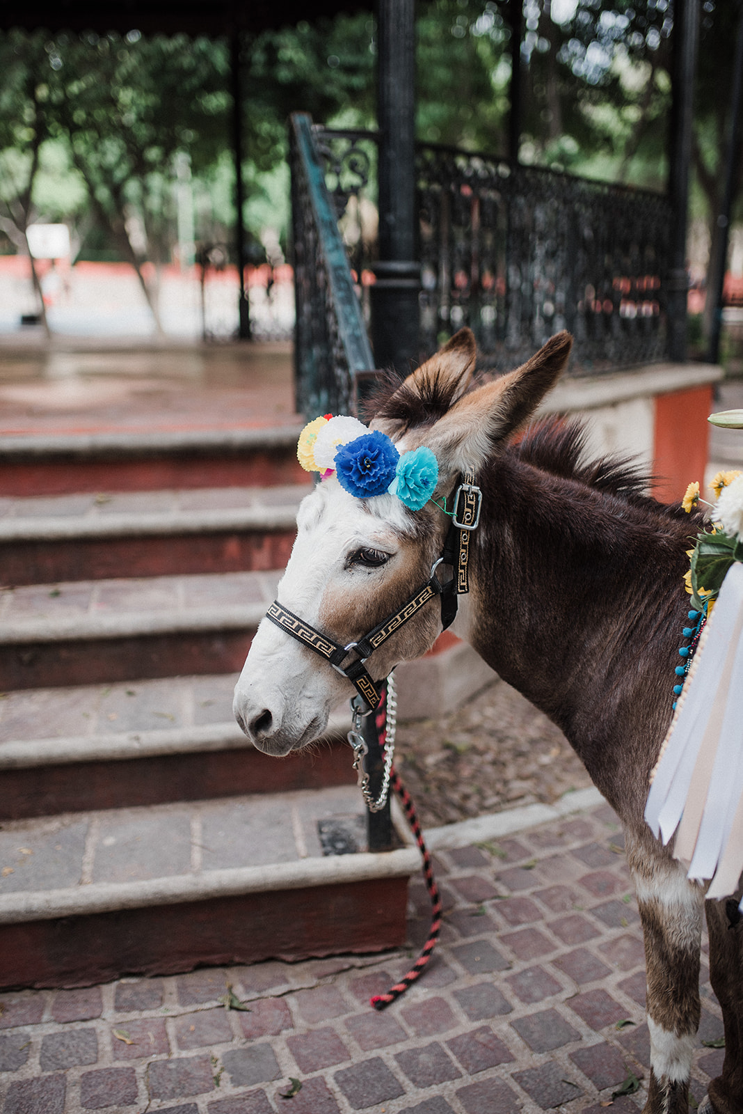 Boda en Casa Cariño San Miguel de Allende