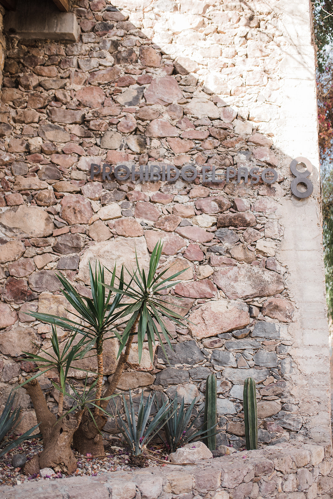 Boda en Casa Cariño San Miguel de Allende