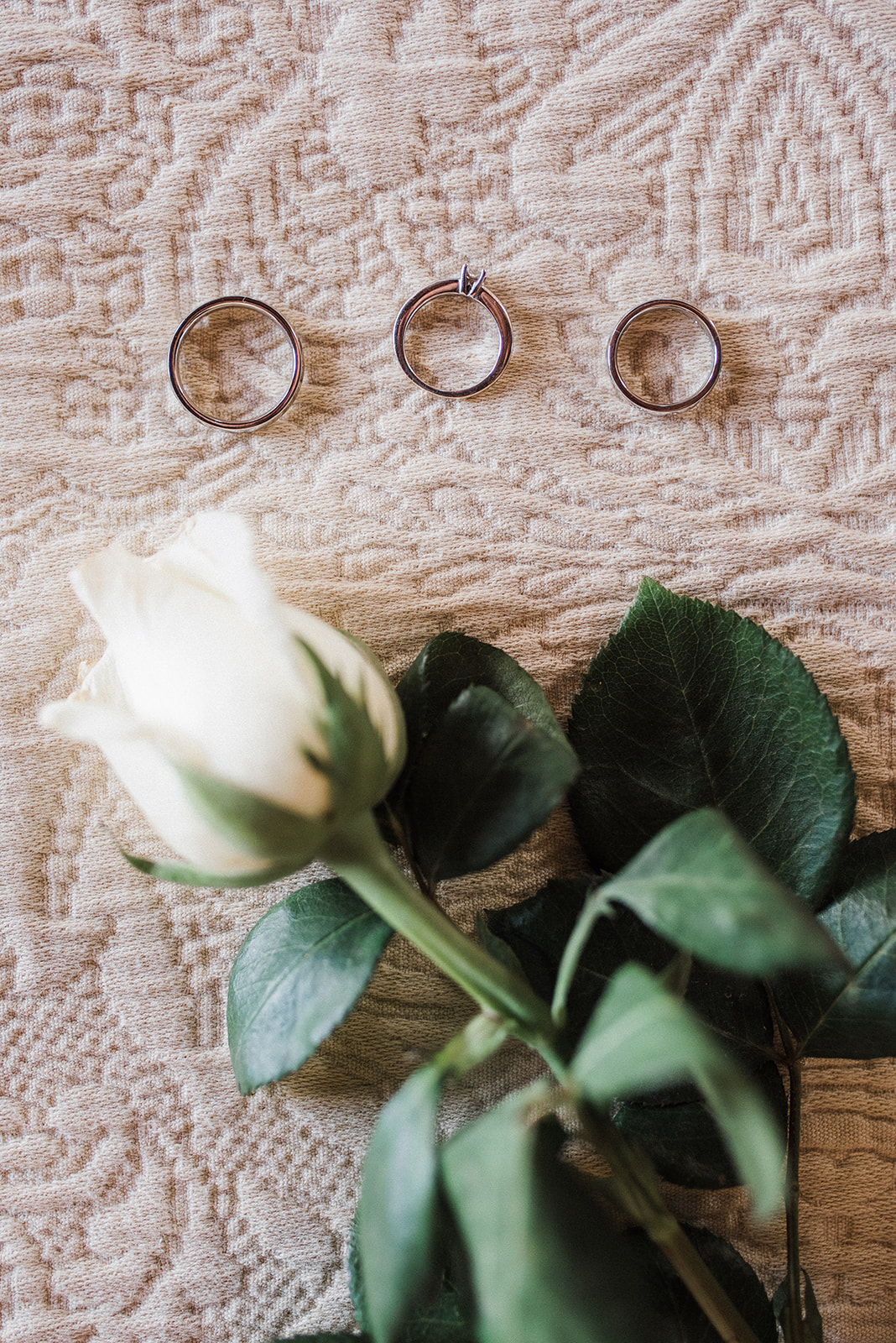 Boda en Casa Cariño San Miguel de Allende