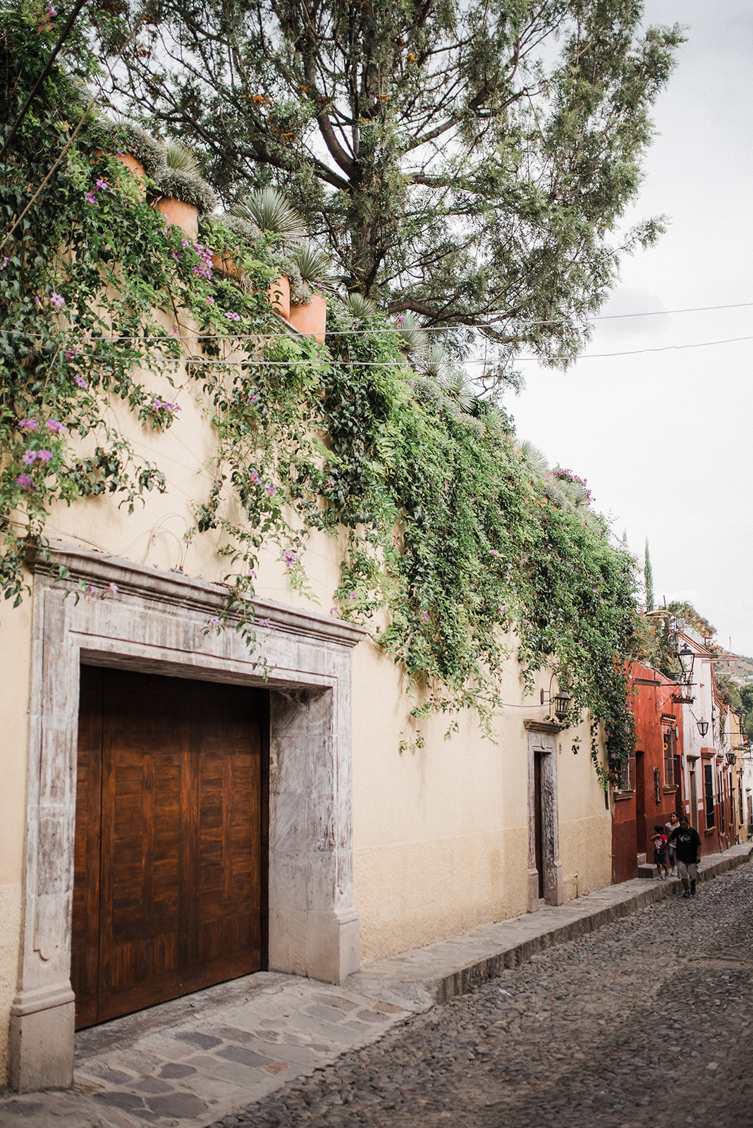 Boda en Casa Cariño San Miguel de Allende