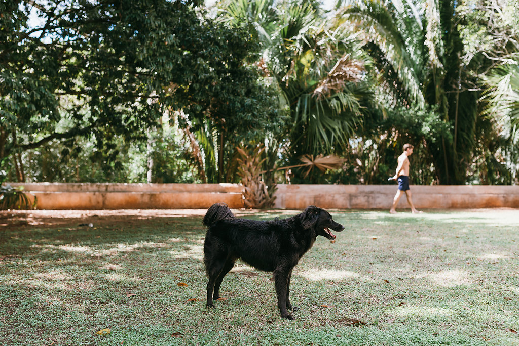 Boda en Hacienda Tekik de Regil Yucatán