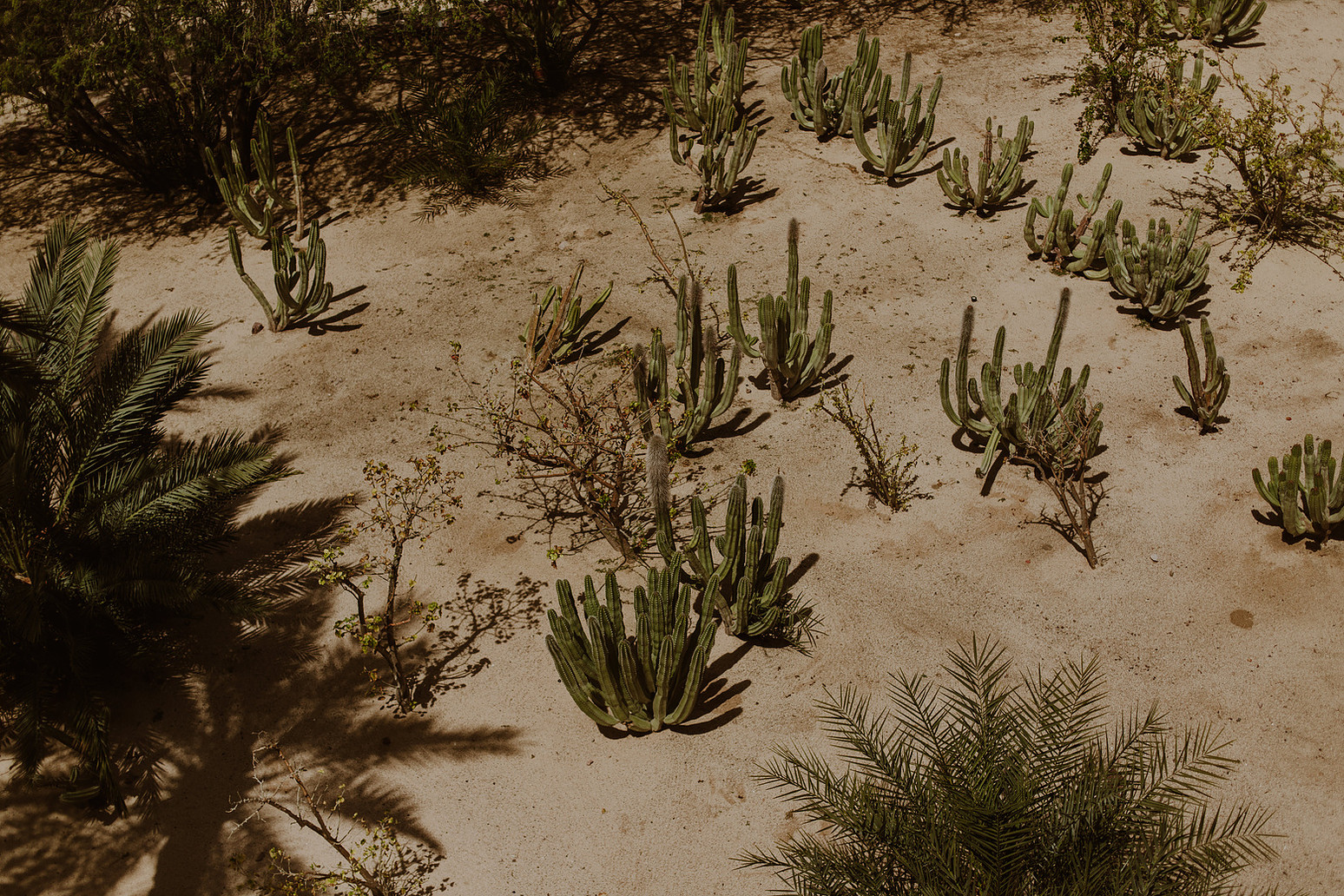 Boda en La Paz, Baja California Sur