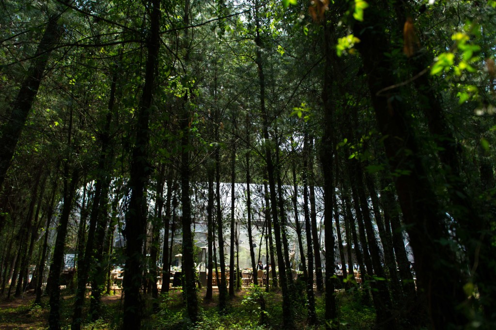 Boda en Boscoso, Valle de Bravo