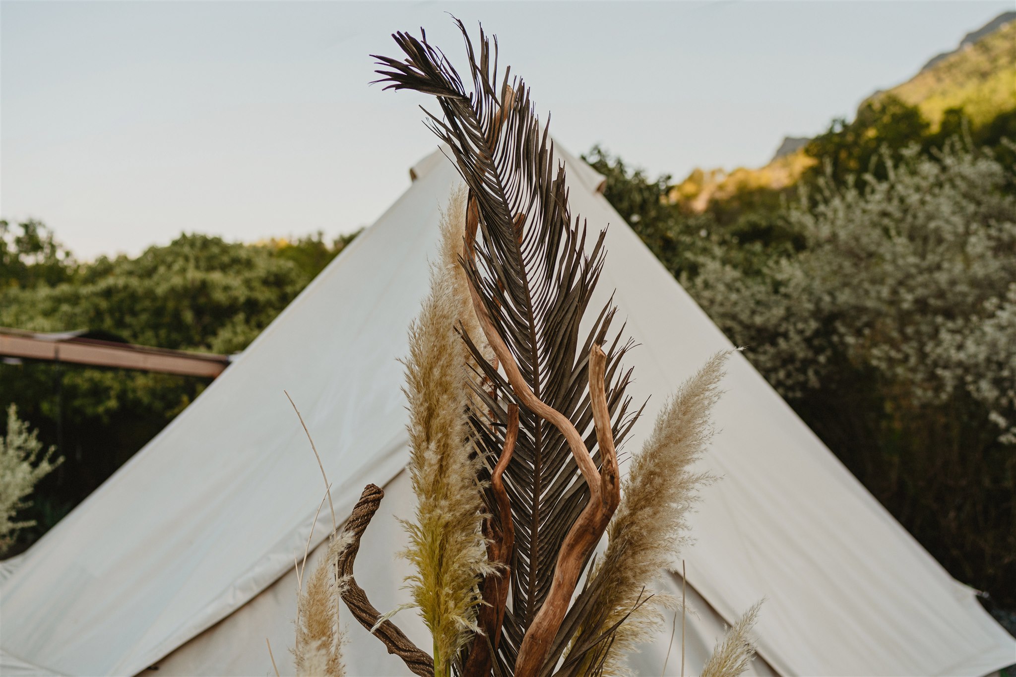 Glamping Elopement en Posada en el Potrero Chico